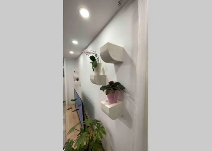 Luxury Bili Apartment